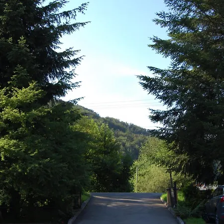 Daire Nad *
